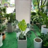 Mẫu cây trầu bà lá xẻ Nam Mỹ size nhỏ được phối trong chậu xi măng vuông, phù hợp với phong cách nội thất hiện đại và tối giản.