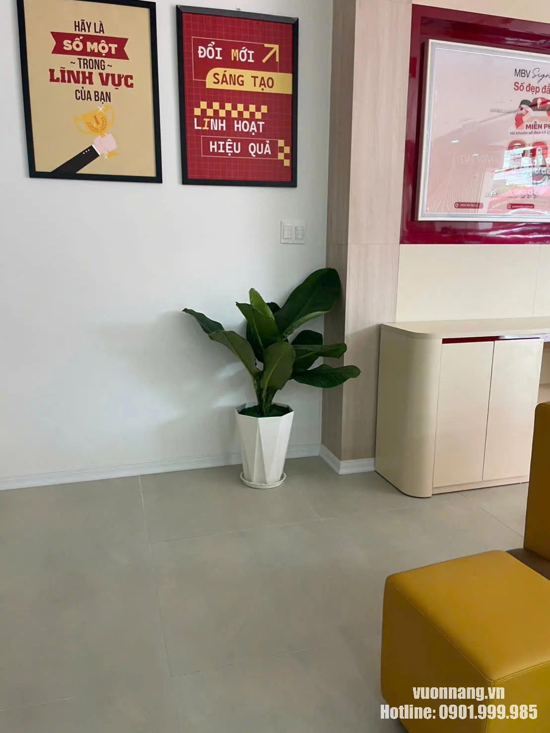 Cây Đại Phú Gia trang trí góc văn phòng trong chậu trắng Cây Đại Phú Gia trong chậu trắng đặt tại góc văn phòng hiện đại. Cây có lá lớn xanh đậm, dáng gọn, phù hợp trang trí khu vực tiếp khách, quầy lễ tân, hành lang hoặc văn phòng làm việc tại TP.HCM.
