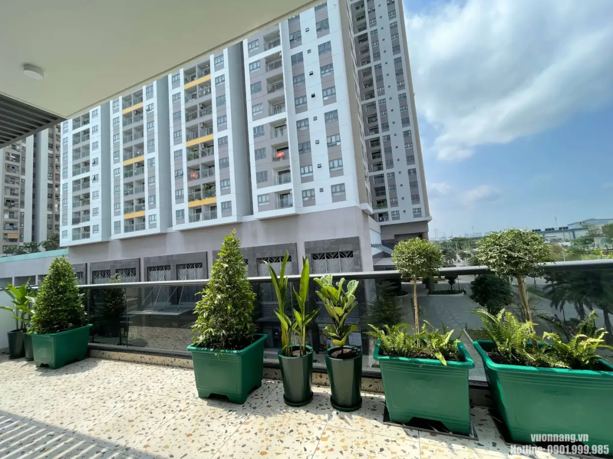 Cho thuê cây văn phòng trọn gói tại TP Thủ Đức Hình ảnh thực tế cây xanh cho thuê được bố trí tại ban công và khu vực ngoài trời của tòa nhà. Các chậu cây được sắp xếp theo hàng, phù hợp cho văn phòng, căn hộ dịch vụ, showroom, khu thương mại hoặc không gian cần tạo mảng xanh ngoại thất.