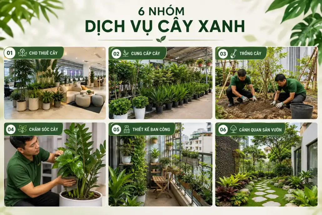 Các nhóm dịch vụ cây xanh Vườn Nắng cung cấp tại TP.HCM Sơ đồ 6 nhóm dịch vụ: Cho thuê cây – Cung cấp cây – Trồng cây – Chăm sóc cây – Thiết kế ban công – Cảnh quan sân vườn.