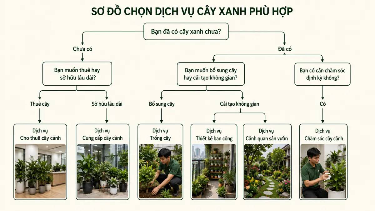 Sơ đồ chọn dịch vụ cây xanh phù hợp theo nhu cầu thực tế Hình ảnh sơ đồ chọn dịch vụ cây xanh phù hợp tại Vườn Nắng