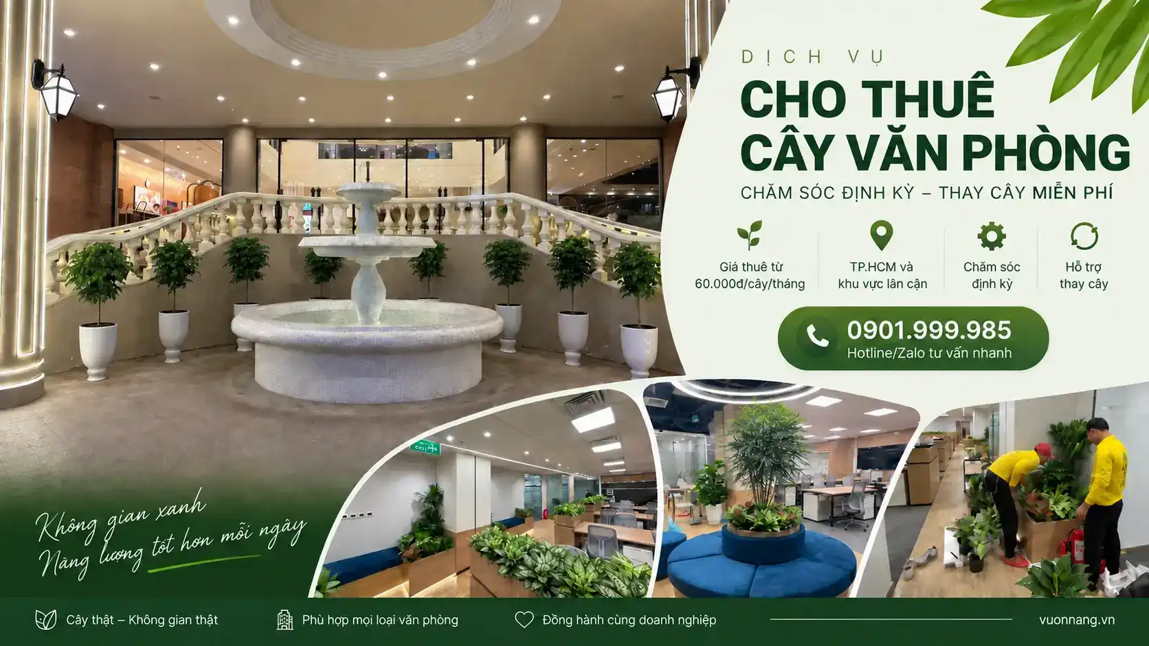 Cho Thuê Cây Văn Phòng TP.HCM – Chăm Sóc & Thay Cây Định Kỳ