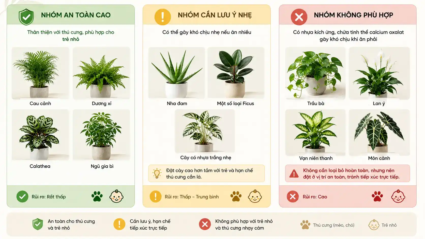 Infographic giúp phân biệt các mức độ an toàn của cây nội thất đối với trẻ nhỏ và thú cưng. Bao gồm nhóm cây an toàn cao như cau cảnh, dương xỉ, calathea; nhóm cần lưu ý nhẹ như nha đam; và nhóm cây cần hạn chế tiếp xúc như trầu bà, lan ý, vạn niên thanh.