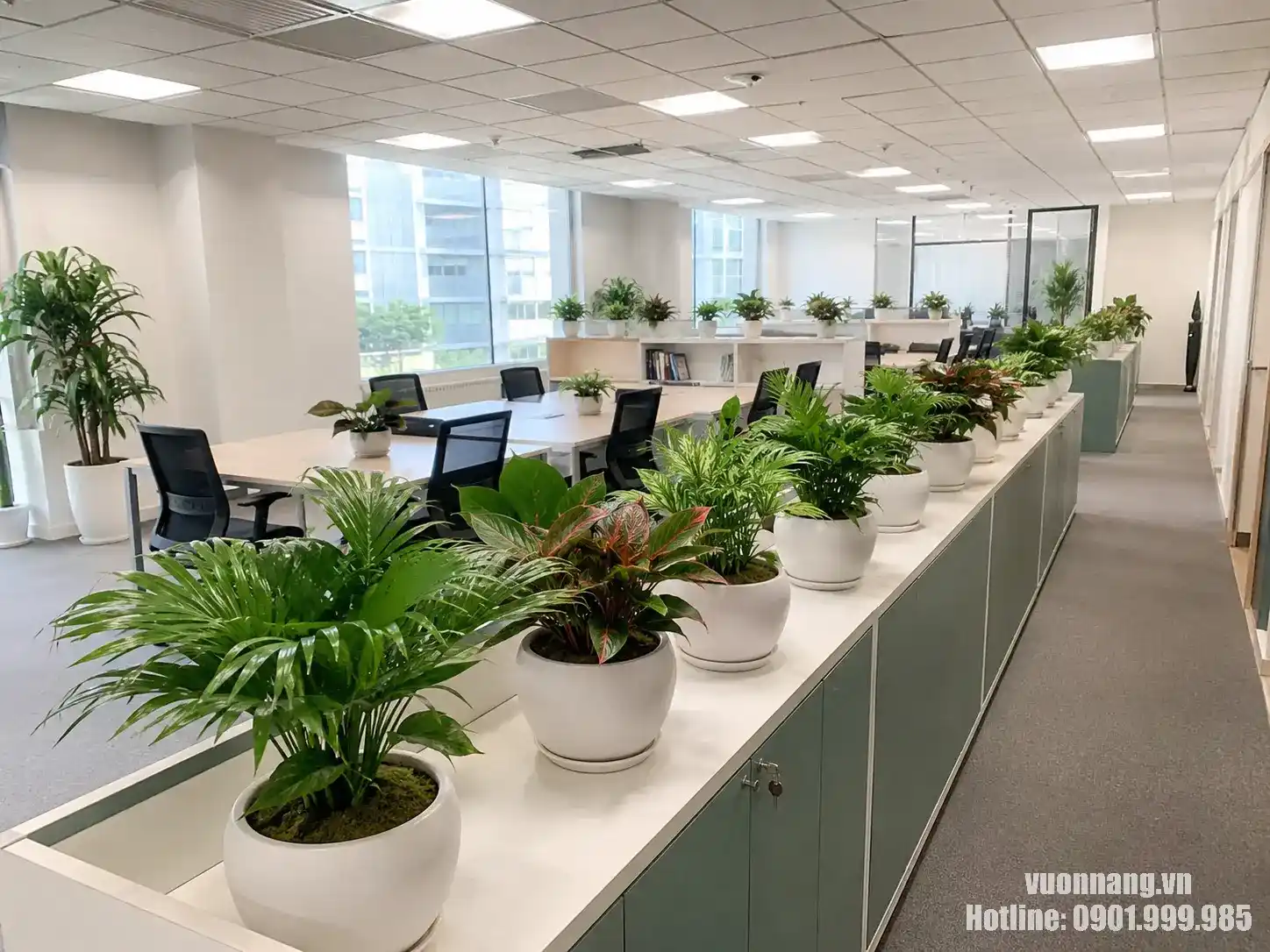 cây xanh trong khu làm việc chung văn phòng Quận 3 Hình ảnh nhiều chậu cây xanh đặt trong khu làm việc chung của văn phòng hiện đại