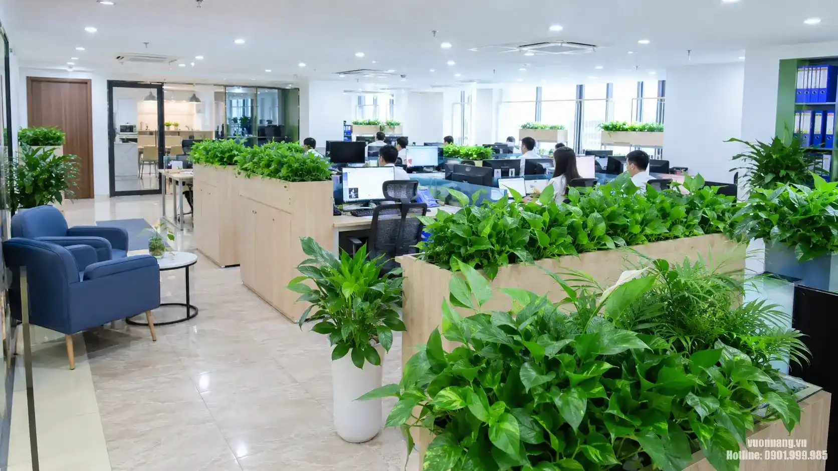 Dịch vụ cho thuê cây cảnh văn phòng quận 4