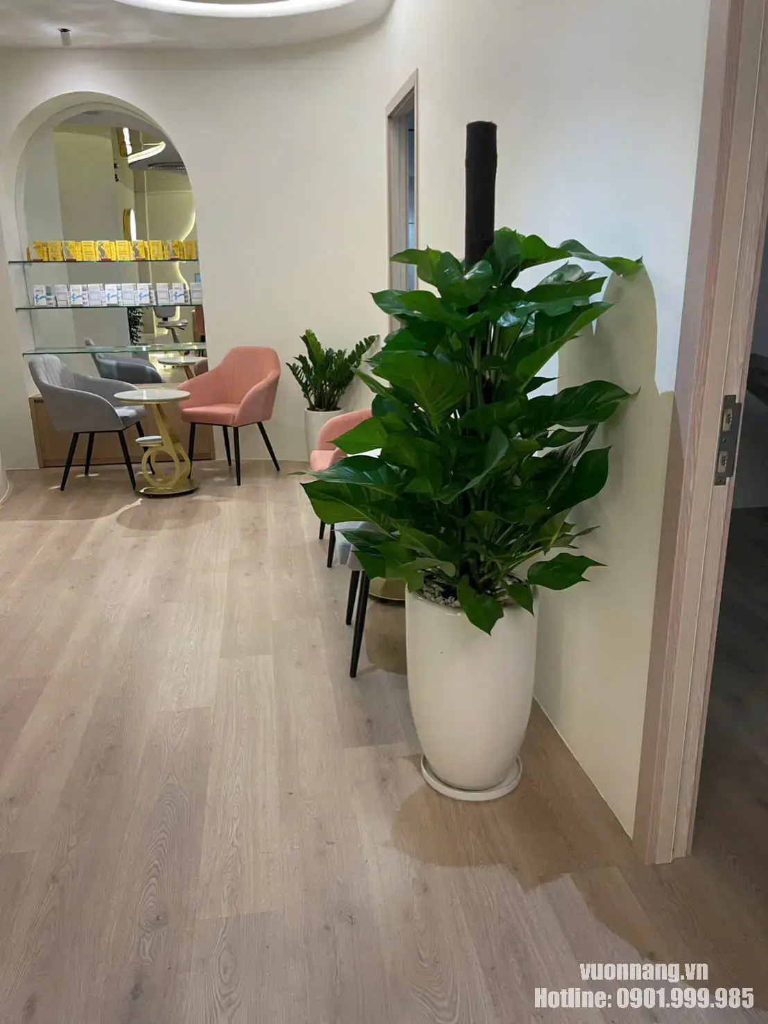 Cây Trầu Bà Cột cho thuê văn phòng Quận 4 Hình ảnh cây Trầu Bà Cột phối chậu trắng trong không gian nội thất, phù hợp cho dịch vụ thuê cây văn phòng Quận 4.