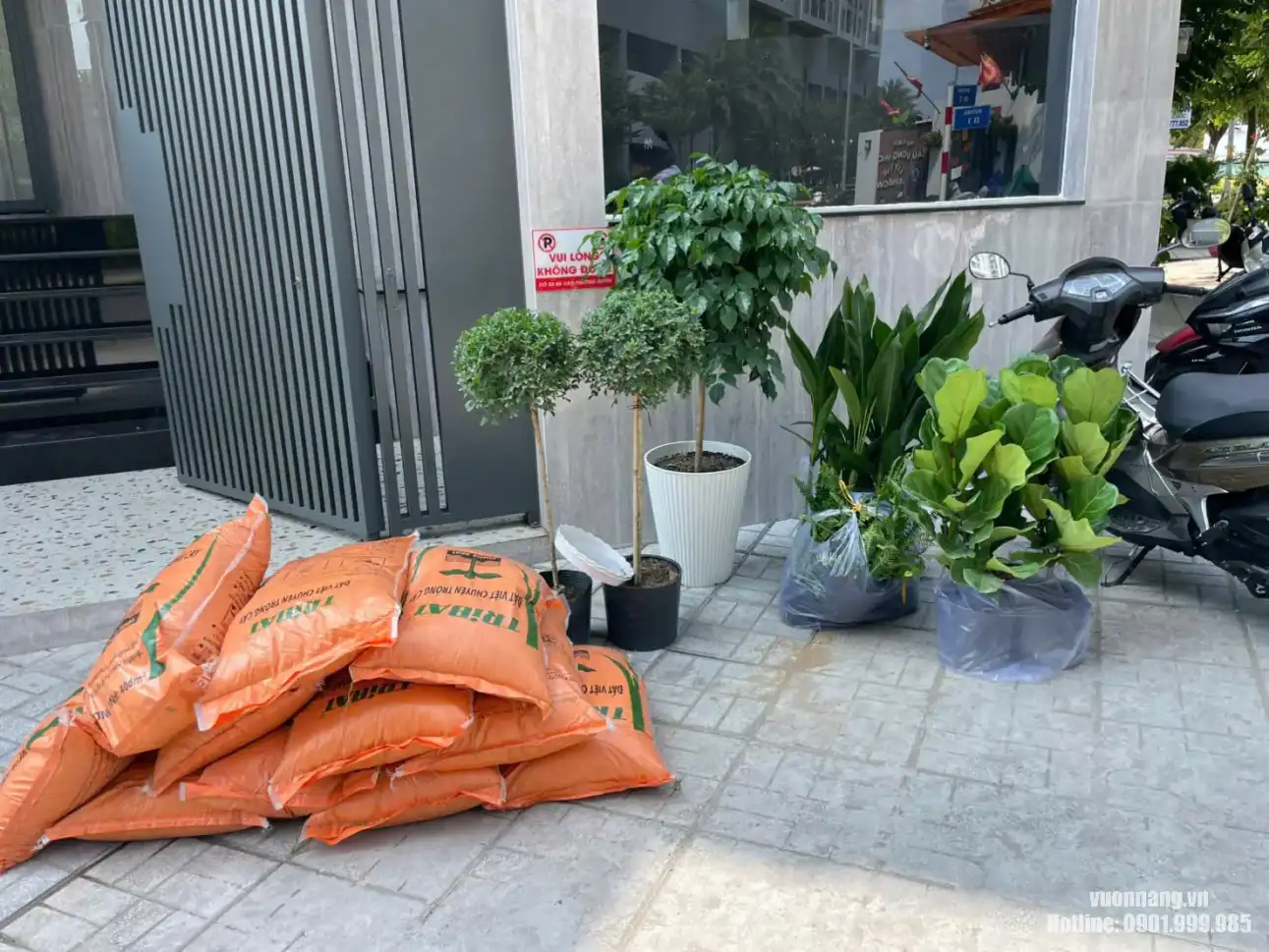 Giao cây và vật tư cho khách thuê cây văn phòng Hình ảnh cây cảnh, chậu cây và vật tư trồng cây được tập kết trước khi giao cho khách, phù hợp minh họa cho dịch vụ thuê cây văn phòng trọn gói.