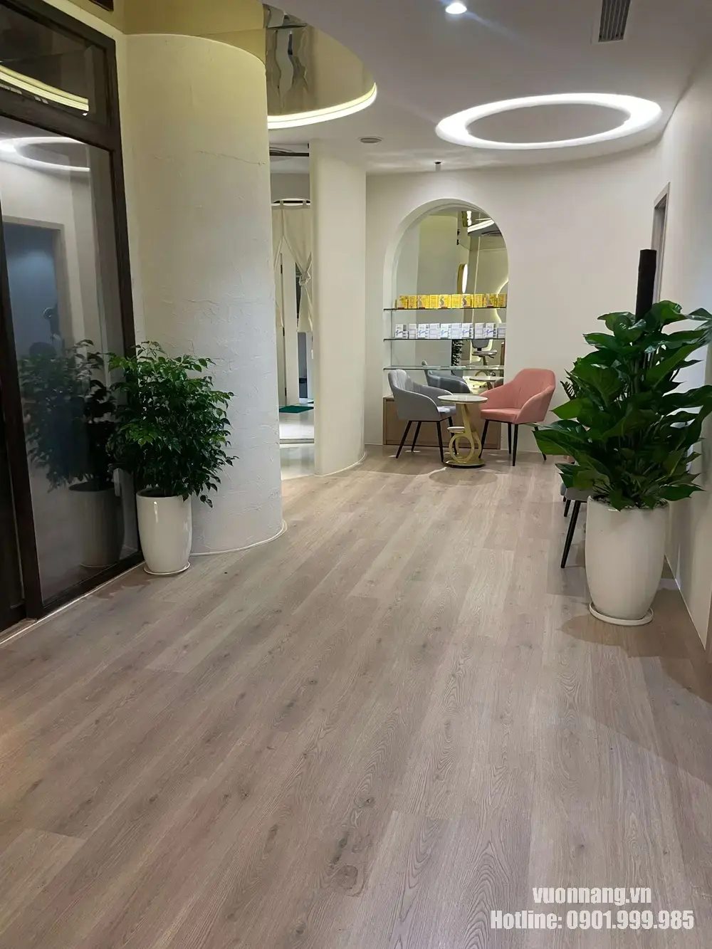 Hình ảnh cây Trầu Bà Cột trong chậu trắng được đặt cạnh bàn gỗ và rèm cửa. Dáng cây cao vừa phải, lá xanh tự nhiên phù hợp cho phòng khách, phòng chờ hoặc khu vực tiếp khách.