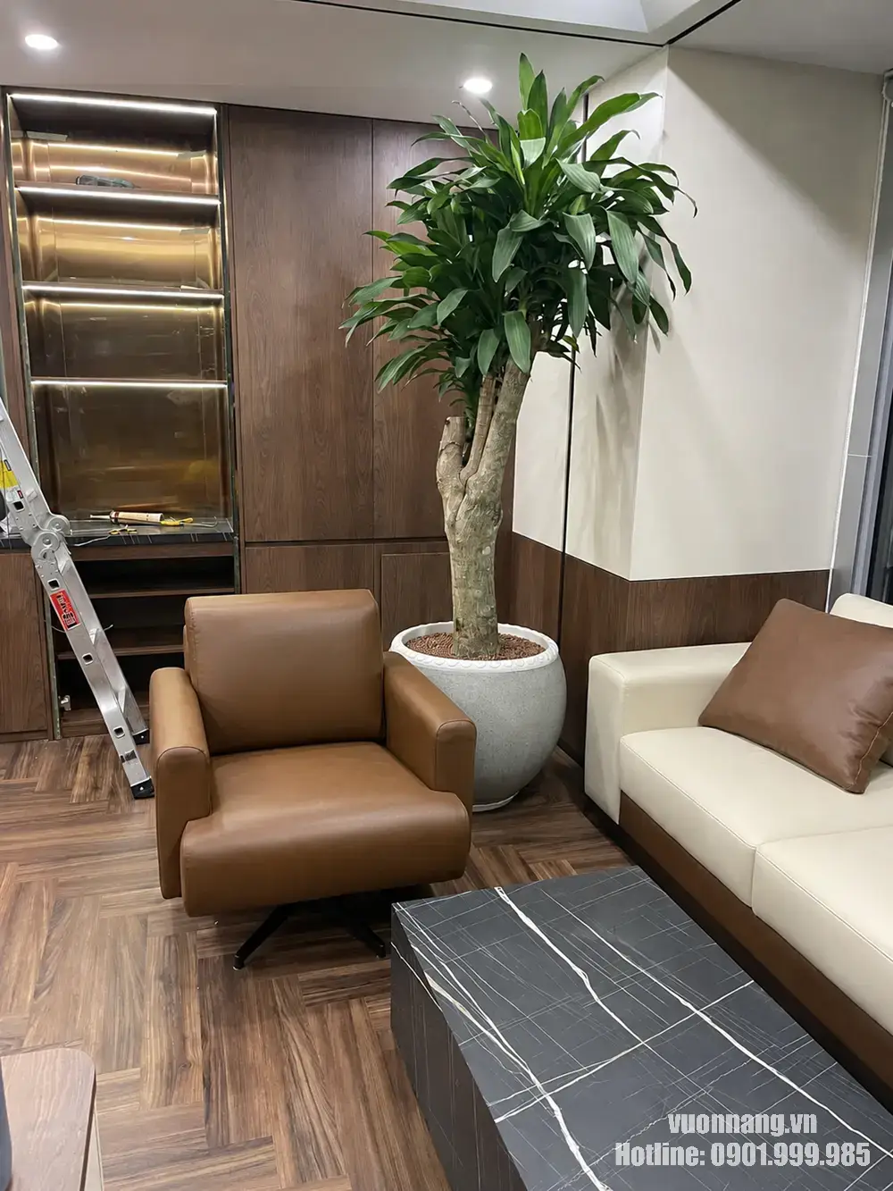Cây Thiết Mộc Lan gốc to phối chậu đá mài xám cạnh sofa Hình ảnh thực tế cây Thiết Mộc Lan gốc lớn sau khi hoàn thiện và bố trí cạnh sofa. Chậu đá mài tròn màu xám kết hợp hài hòa với nội thất gỗ, ghế da và tông màu trung tính của căn phòng.