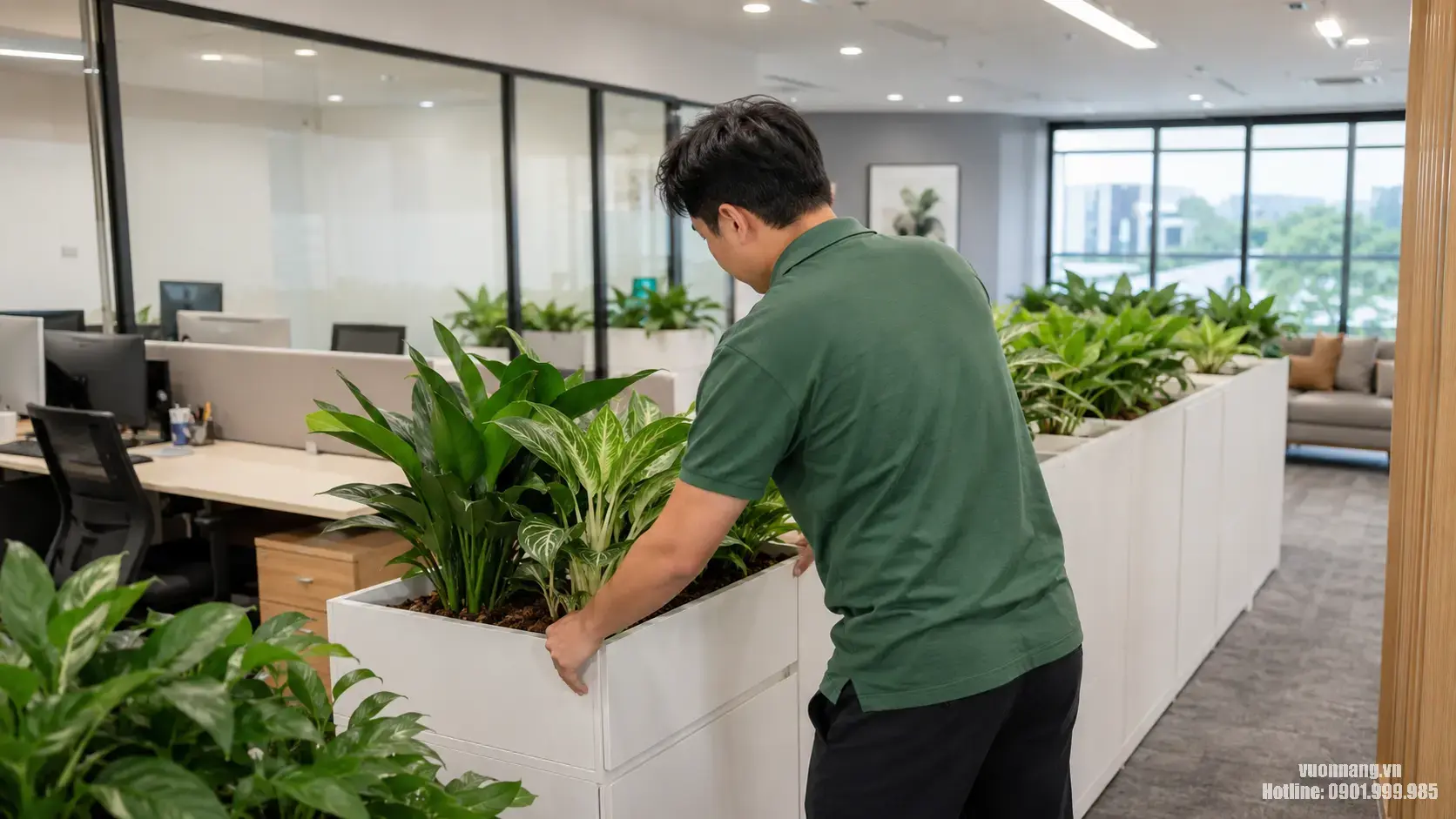 Dịch vụ cho thuê cay văn phòng quận 10