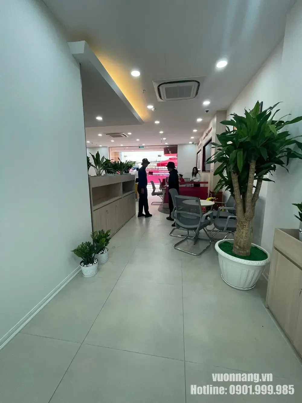 Toàn cảnh hành lang phòng giao dịch sau khi Vườn Nắng bố trí thiết mộc lan, kim tiền và các chậu cây nội thất theo nhiều tầng kích thước.