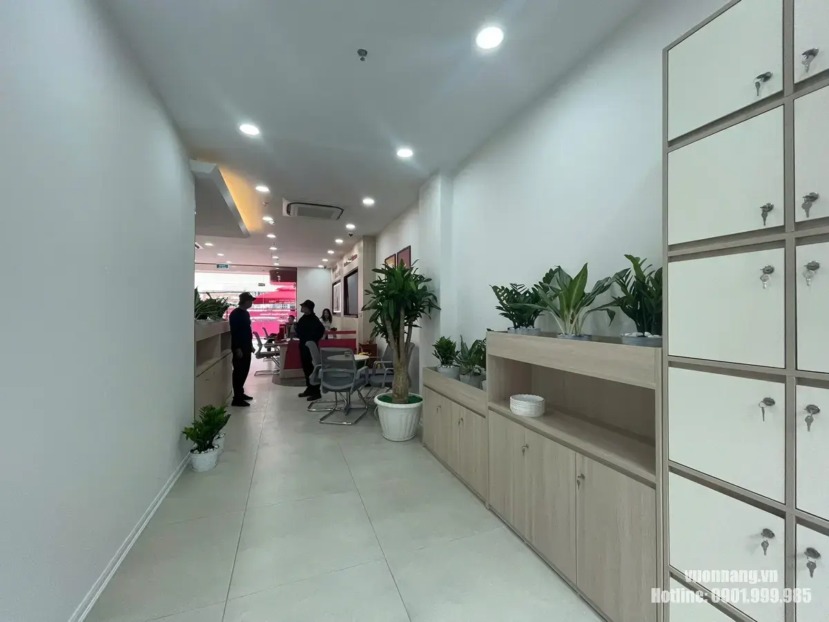 Hình ảnh toàn cảnh cây cho thuê được Vườn Nắng bố trí tại ngân hàng MBV quận 7 Góc chụp toàn cảnh cho thấy cách Vườn Nắng phân bổ cây lớn, cây trung bình và cây nhỏ tại hành lang phòng giao dịch MBV ở Quận 7.