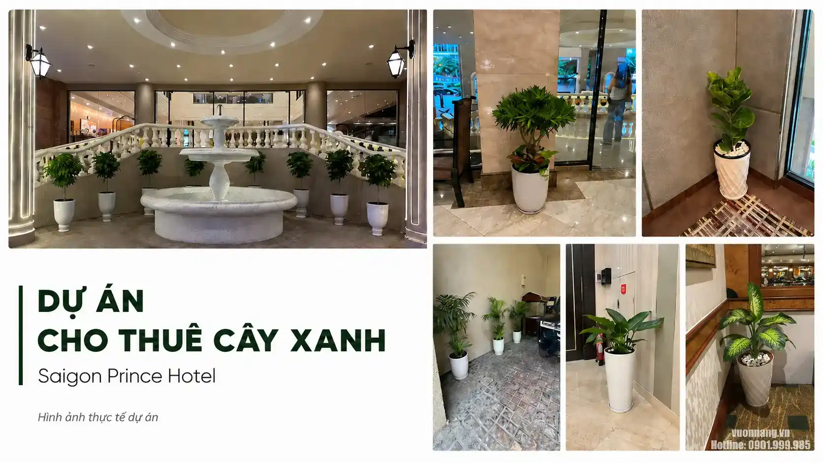 Dự Án Cho Thuê Cây Xanh Tại Saigon Prince Hotel