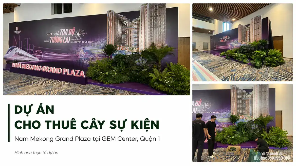 Dự Án Cho Thuê Cây Sự Kiện Nam Mekong Grand Plaza Tại GEM Center