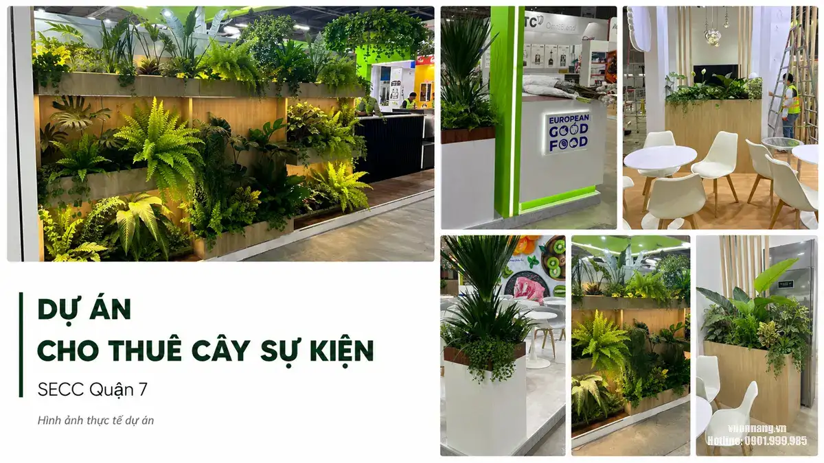Dự Án Cho Thuê Cây Sự Kiện Tại SECC Quận 7