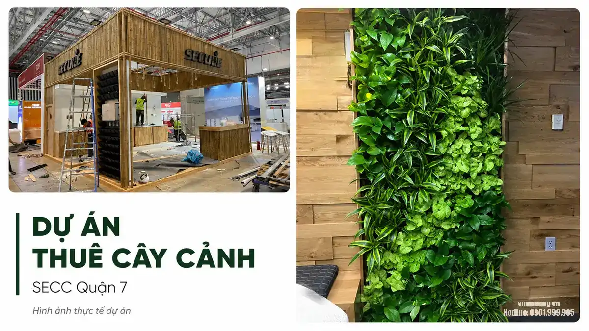 Dự Án Thuê Cây Cảnh Tại SECC Quận 7 – Setup Tường Cây Nhiệt Đới Cho Gian Hàng Sự Kiện