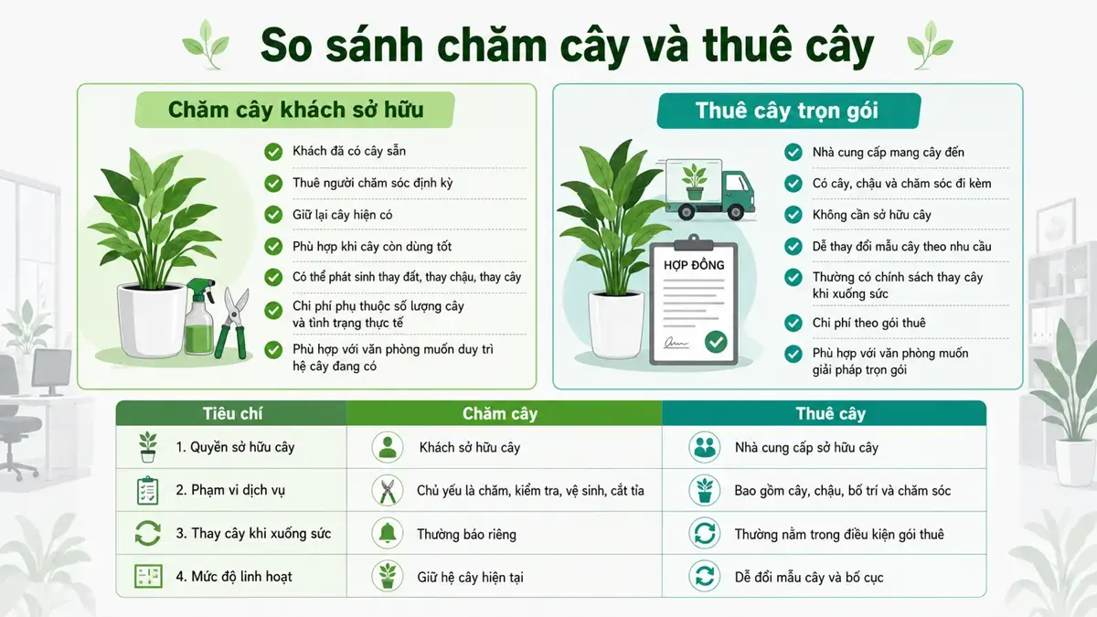 Infographic so sánh dịch vụ chăm sóc cây văn phòng với dịch vụ thuê cây trọn gói, giúp doanh nghiệp chọn giải pháp phù hợp với tình trạng hệ cây hiện tại.