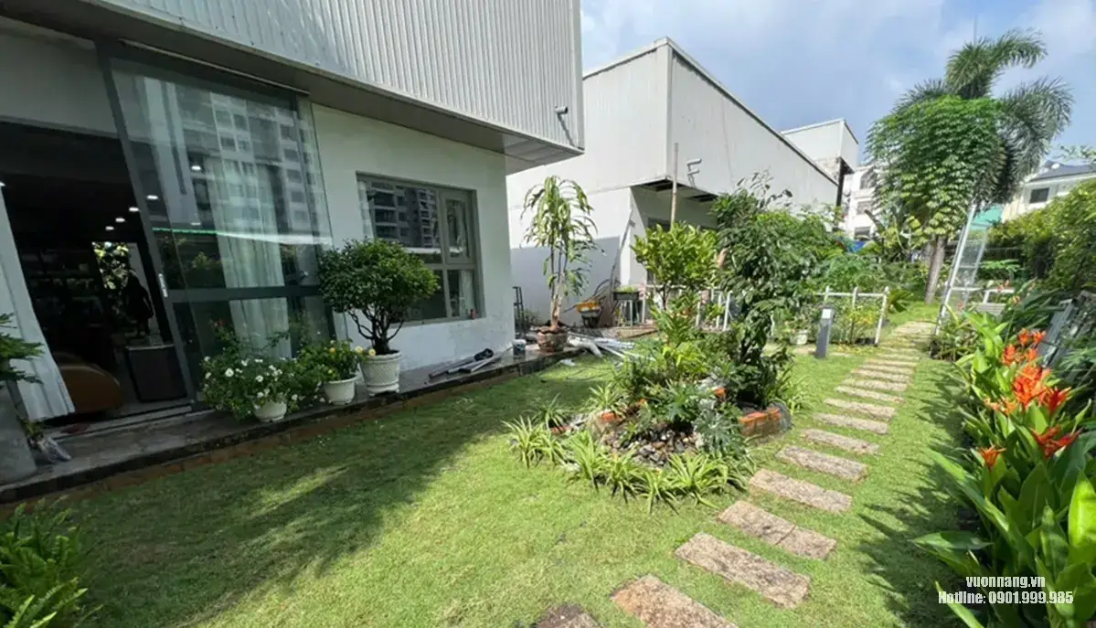 Dịch Vụ Trồng Cây Cảnh Quận 2 Tại Nhà, Ban Công Và Sân Vườn