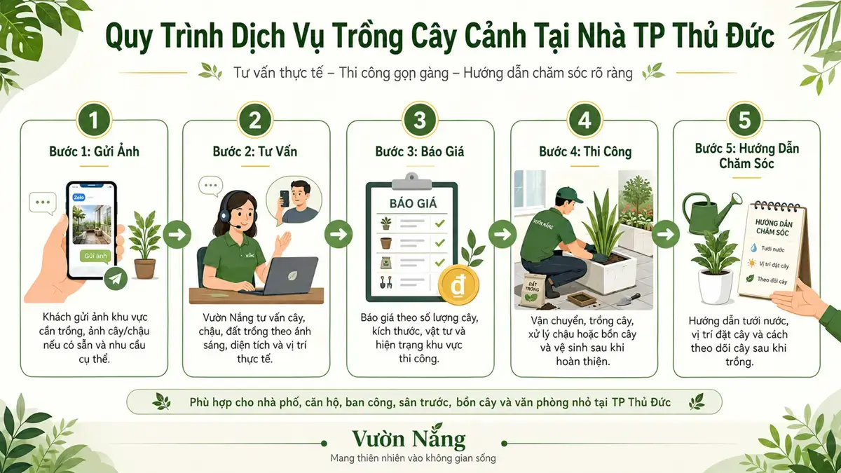 Quy trình dịch vụ trồng cây cảnh tại nhà TP Thủ Đức của Vườn Nắng. Hình ảnh Infographic quy trình 5 bước: gửi ảnh – tư vấn – báo giá – thi công – hướng dẫn chăm sóc.