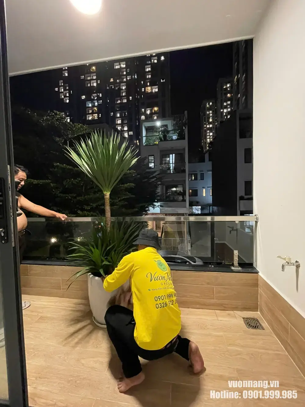 Nhân viên vườn năng bố trí đặt cây phát tài núi tại ban công nhà khách sau khi trồng cây vào chậu. Hình ảnh nhân viên Vườn Nắng hoàn thiện cây trồng trong chậu và bố trí đặt tại ban công cho khách hàng.
