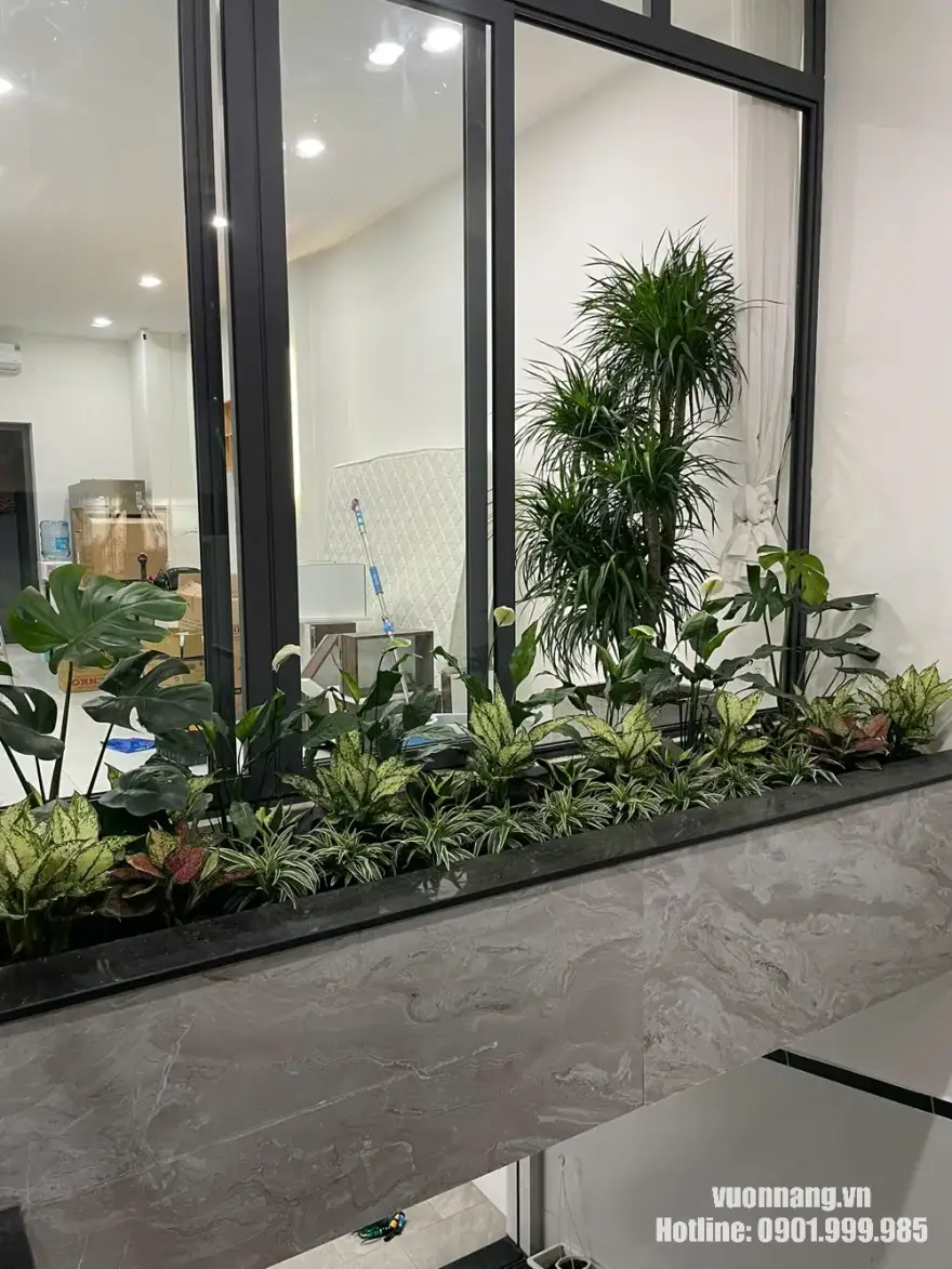 Bồn cây văn phòng sau khi trồng hoàn thiện Hình ảnh bồn cây nội thất sau khi trồng hoàn thiện với các loại cây như monstera, lan ý, cây lá màu và cây viền thấp, phù hợp trang trí nhà phố, văn phòng hoặc khu vực cửa kính.