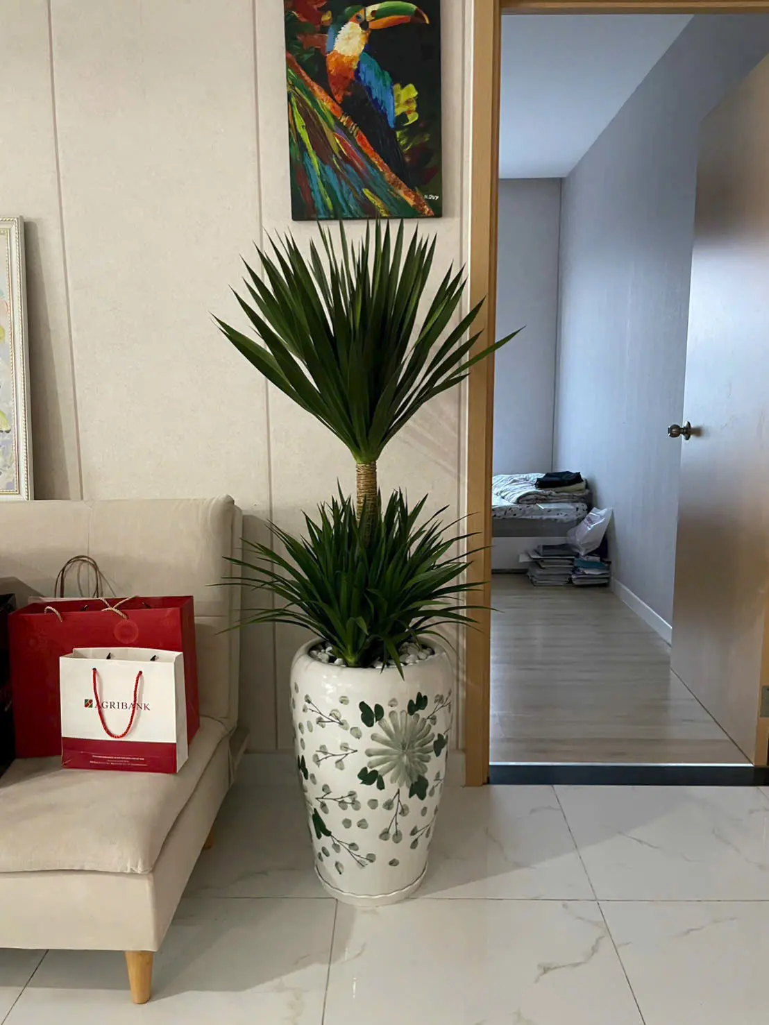 Hình ảnh Cây phát tài núi đặt phòng khách