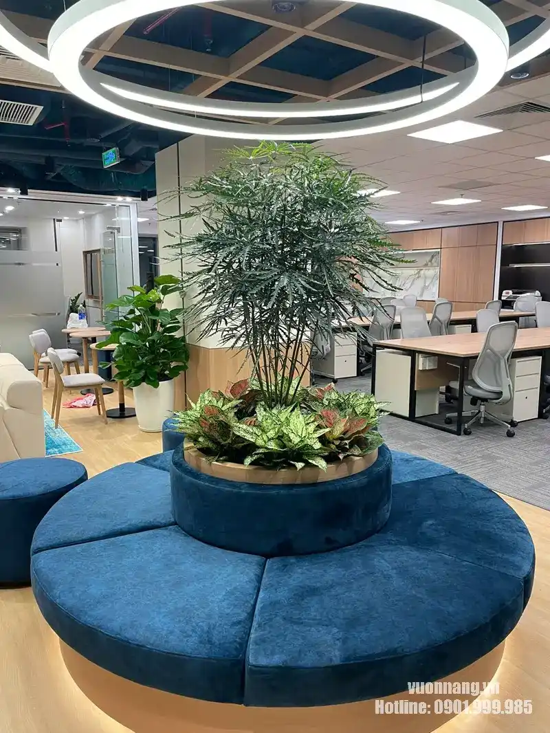 Cận cảnh cây điểm nhấn trung tâm Staff Corner văn phòng MIK Group Quận 1. Cây dáng cao được bố trí giữa hệ ghế tròn màu xanh, phía dưới phối thêm các nhóm cây lá màu để tạo một cụm cây trung tâm.