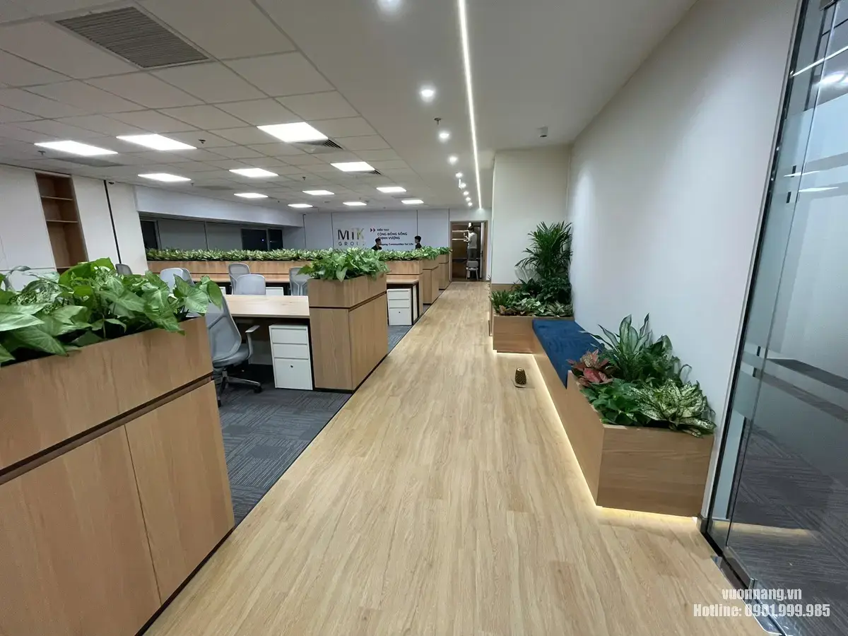 Hành lang văn phòng MIK Group với các bồn cây xanh sau khi hoàn thiện. Góc nhìn dọc hành lang với các bồn cây thấp, cây tạo điểm nhấn và hệ ghế nghỉ sau khi Vườn Nắng hoàn thiện.