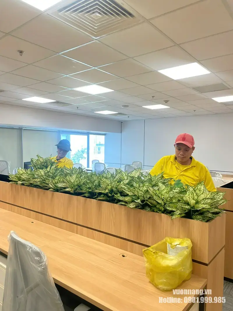Nhân viên Vườn Nắng hoàn thiện bồn cây tại khu làm việc chung MIK Group. Hai nhân viên Vườn Nắng kiểm tra và căn chỉnh hàng cây trong bồn tích hợp giữa các cụm bàn làm việc