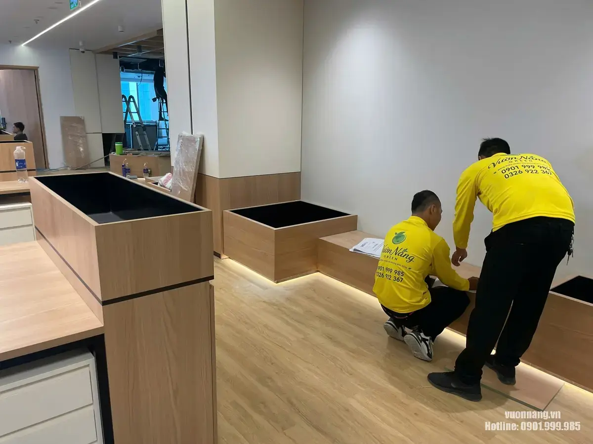 Nhân viên Vườn Nắng khảo sát mặt bằng và bồn cây tại văn phòng MIK Group Quận 1. Khảo sát trực tiếp mặt bằng giúp xác định kích thước bồn và phương án bố trí cây phù hợp
