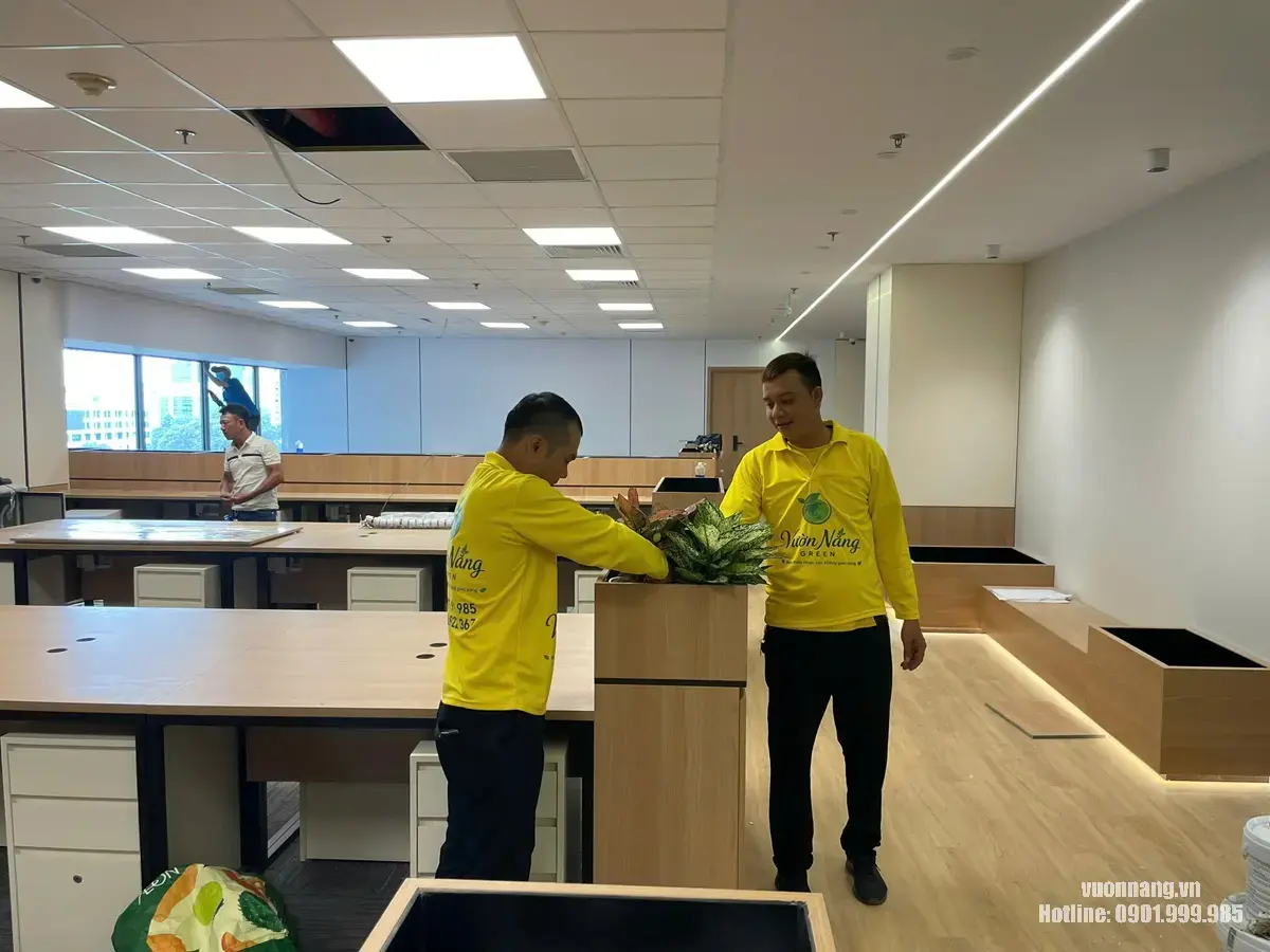 Nhân viên Vườn Nắng setup cây trong bồn tại khu làm việc chung MIK Group. Nhân viên Vườn Nắng trực tiếp sắp xếp các cây lá màu và cây nội thất vào bồn trung tâm của khu làm việc chung.