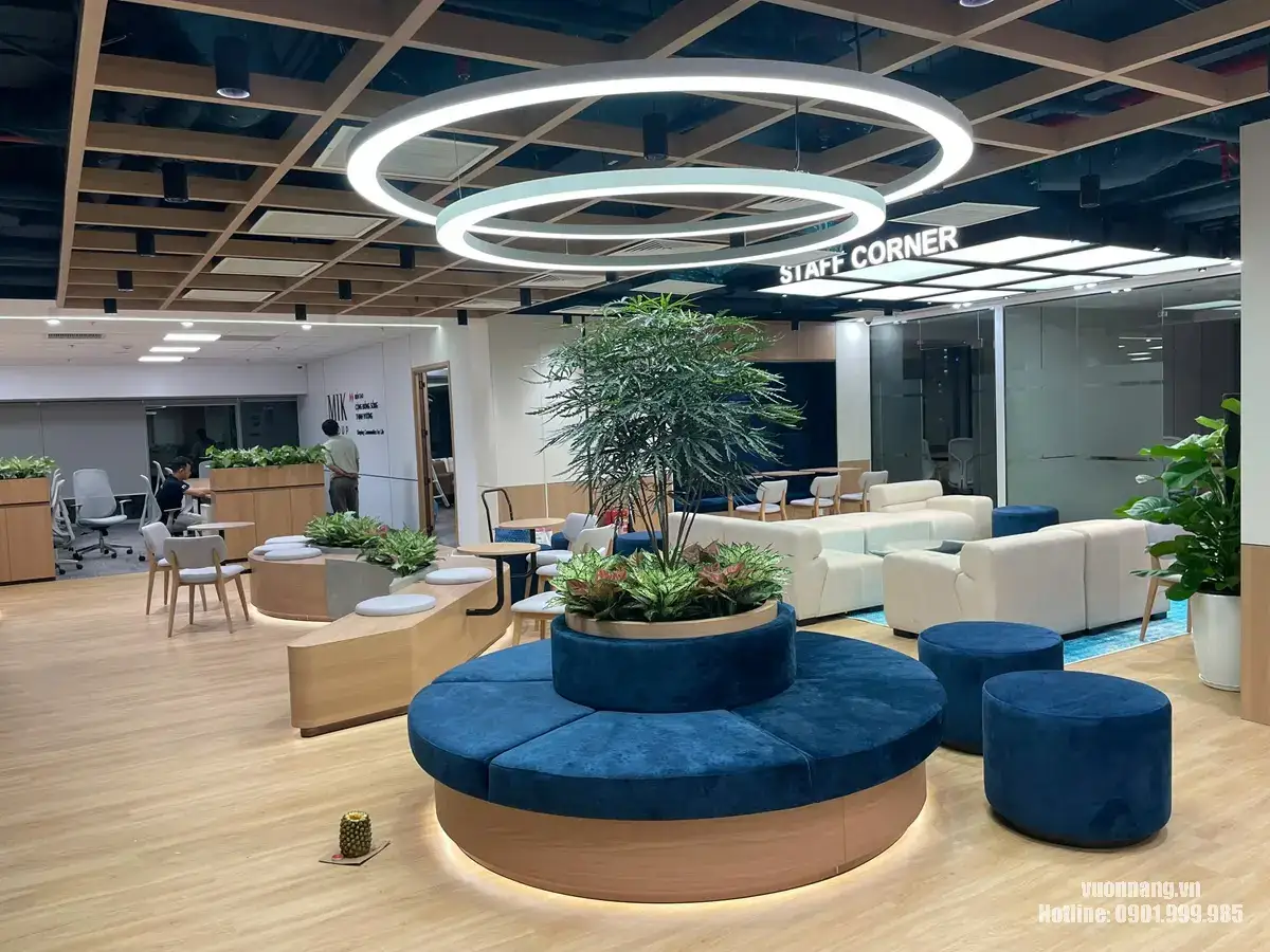 Staff Corner MIK Group sau khi hoàn thiện bố trí cây xanh văn phòng. Không gian Staff Corner sau khi hoàn thiện với cây điểm nhấn trung tâm, bồn cây thấp và các cụm cây trang trí xung quanh.