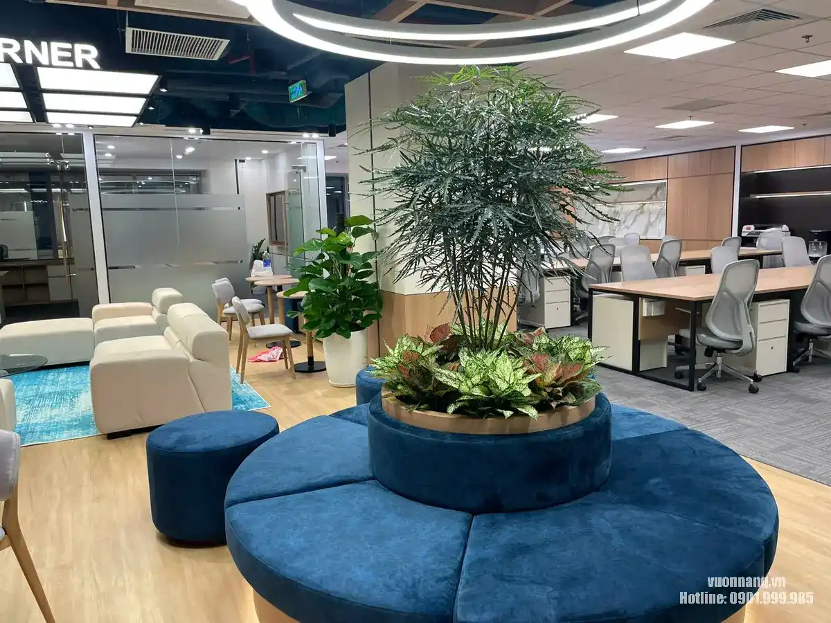 Toàn cảnh khu Staff Corner MIK Group với cây xanh sau khi Vườn Nắng hoàn thiện. Toàn cảnh khu Staff Corner với cây trung tâm, các cụm ghế ngồi, bàn nhỏ và mảng xanh được bố trí xuyên suốt không gian.