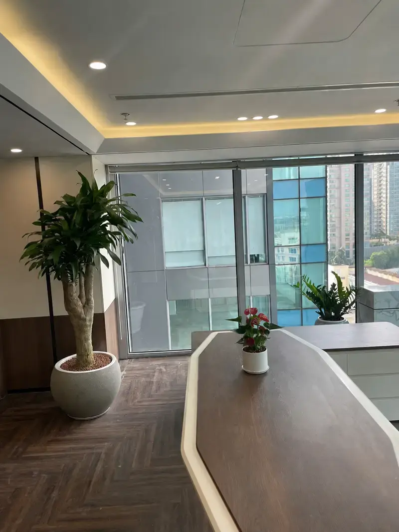 Phòng Tổng Giám đốc MIK Group hoàn thiện với cây lớn cạnh cửa kính và cây để bàn. Không gian hoàn thiện với cây nội thất cỡ lớn cạnh cửa kính, kết hợp cây để bàn và cây trung bình tạo nhiều tầng mảng xanh.