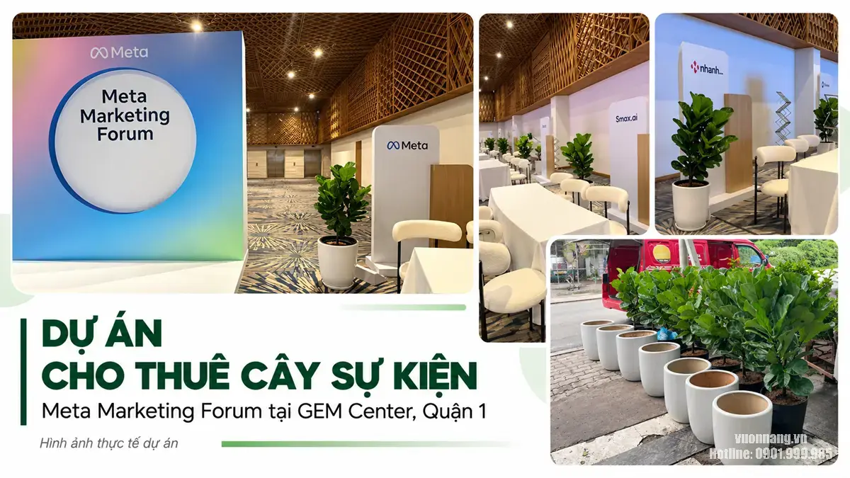Dự Án Cho Thuê Cây Sự Kiện Meta Marketing Forum Tại GEM Center